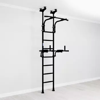 Домашний спортивный комплекс Romana R10 черный матовый