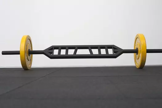 Гриф Stecter SWISS BAR