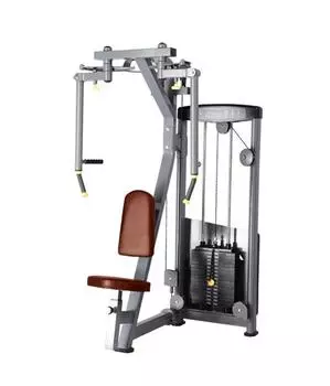 Грудь/Задняя дельта BRONZE GYM D-002A