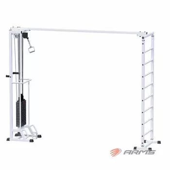 Грузоблочный тренажер Биотонус + шведская стенка стек 100 кг ARMS AR087.1х2400