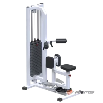 Грузоблочный тренажер Торс машина ARMS AR051