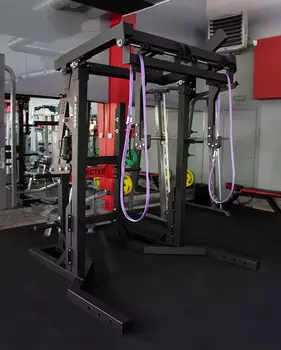 Монолифт STECTER для пауэрлифтинга (с хранением дисков)