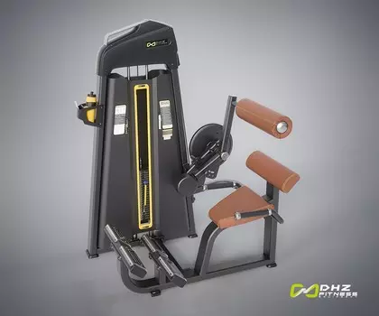 Пресс машина/Разгибание спины DHZ Abdominal/Back extension Стек 94 кг E-1074B