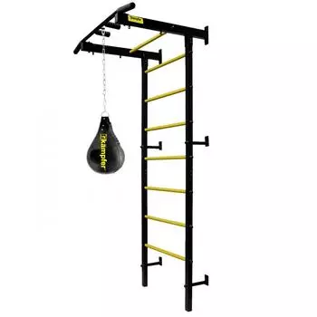 Профессиональная шведская стенка Kampfer Dionis Powerful