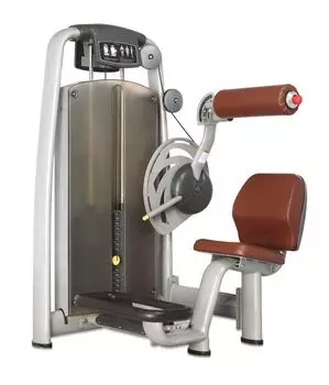 Разгибание спины BRONZE GYM A9-009