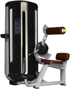 Разгибание спины BRONZE GYM MNM-009