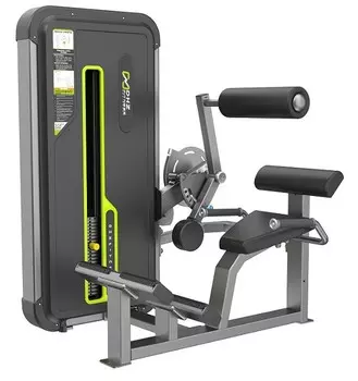 Разгибание спины DHZ Back Extension Стек 109 кг A3031