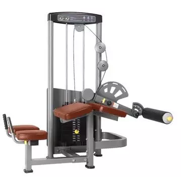 Сгибание ног лежа BRONZE GYM D-013A