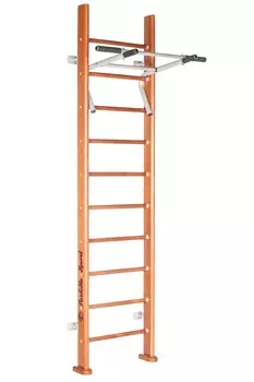 Спортивный комплекс Perfetto Sport Rapido PS-102