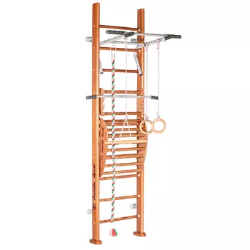 Спортивный комплекс Perfetto Sport Viva PS-104 с тренажёром Vinsere PS-121