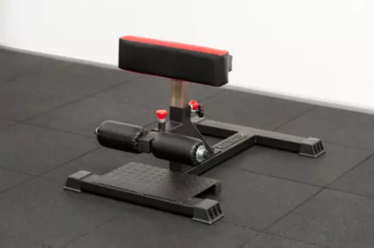 STECTER Подставка для приседаний