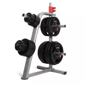 Стойка для дисков FitnesSport DR-02