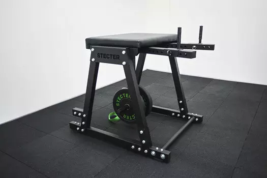 Тренажер Обратная экстензия Stecter (Reverse Hyper)