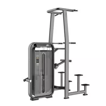 Турник, брусья с противовесом DHZ Dip/Chin Assist Стек 110 кг E-7009