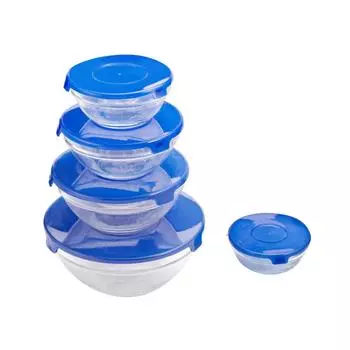 Набор контейнеров Gipfel Camelia 6208