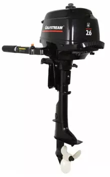 4х-тактный лодочный мотор GOLFSTREAM F 2.6 BMS