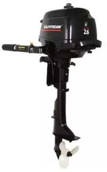 4х-тактный лодочный мотор GOLFSTREAM F 2.6 BMS