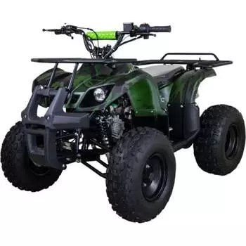 Электроквадроцикл AVANTIS ATV Classic 8E (1000W)