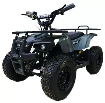 Электроквадроцикл MOTAX Grizlik X16 New E1000 Big Wheel