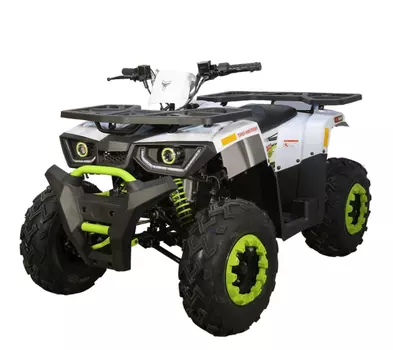 Квадроцикл AVANTIS H200 NEW (Баланс. вал)
