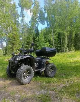 Квадроцикл GRIZZLY 250 Б/У