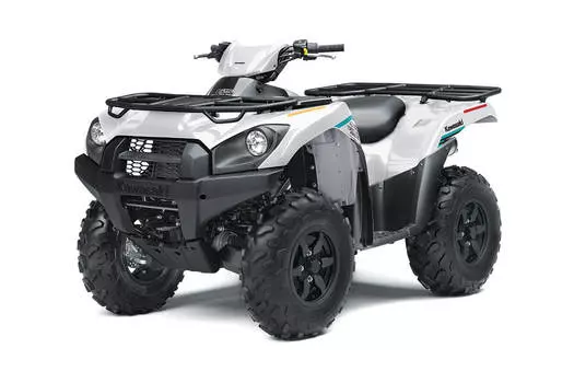 Квадроцикл KAWASAKI Brute Force 750 4x4i EPS (2023) (ПСМ)