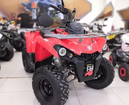 Квадроцикл MOTAX ATV Grizlik 200 Ultra Б/У