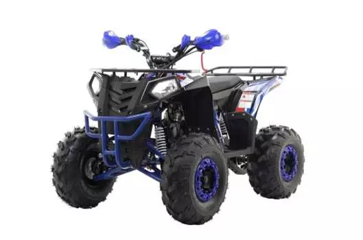 Квадроцикл MOTAX Grizlik A125