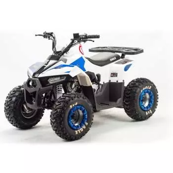 Квадроцикл MOTOLAND 110 Eagle (2021 Г.)