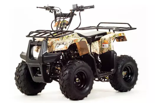 Квадроцикл MOTOLAND 110 Rider (2021 Г.)