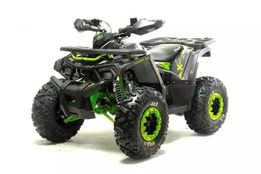 Квадроцикл MOTOLAND Wild X Баланс. вал. (2021 Г.)