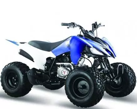 Квадроцикл МОТОМИР Pantera 125