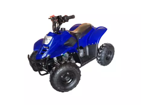 Квадроцикл RAPTOR 110