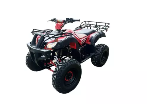 Квадроцикл RAPTOR Madman 200 All