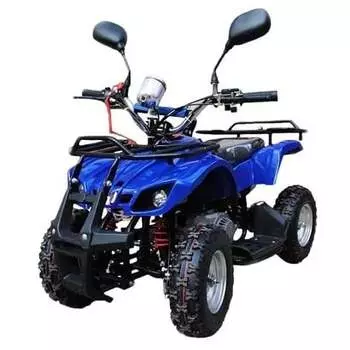 Квадроцикл RAPTOR MAX PRO 49cc (2022)
