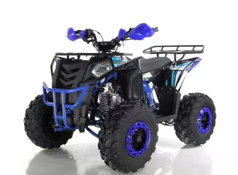 Квадроцикл WELS Thunder EVO