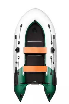 Лодка ПВХ ТРИТОН 315 (2022)