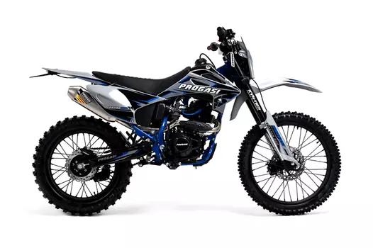 Мотоцикл кроссовый эндуро ПРОГАСИ Palma 300