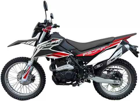 Мотоцикл кроссовый эндуро RACER RC300-GY8K XVR