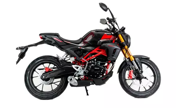 Мотоцикл MOTOLAND 501 (172FMM-5/PR250) ТУРЭНДУРО