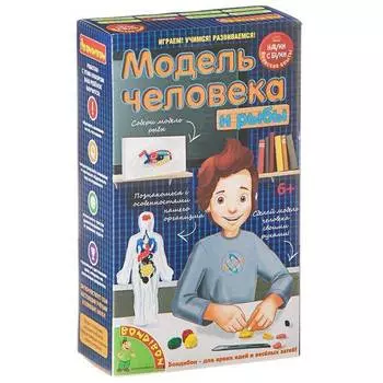 BONDIBON Японские опыты Науки с Буки Модель человека, арт. 196408