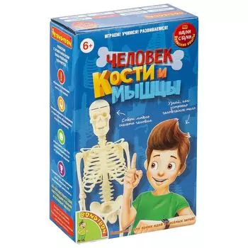 Bondibon Японские опыты Науки с Буки "Человек. Кости и мышцы"