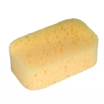 Canpol Губка "Коралл", 0+ мес., цвет желтый