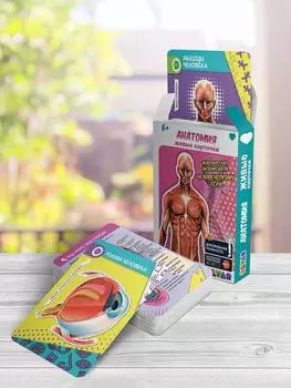 Devar Набор карточек "Анатомия в дополненной реальности"