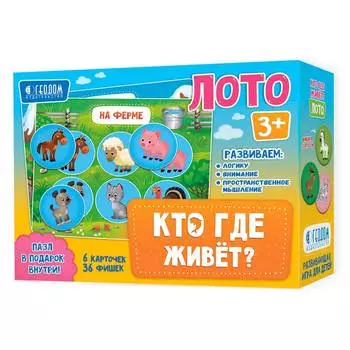 Геодом Лото "Кто где живет?"