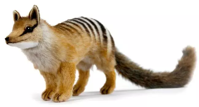 Hansa Creation "7361 Намбат, 16 см" - мягкая игрушка