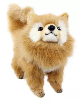 Hansa Creation "7591 Померанский шпиц, 23 см" - мягкая игрушка