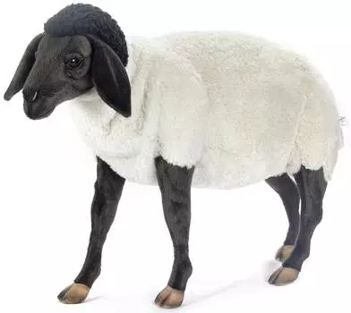 Hansa Creation "Мягкая игрушка - Суффолкская овечка 65 см, 7065"