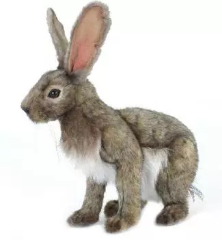 Hansa Creation "Заяц, 30 см - 5304" - мягкие игрушки