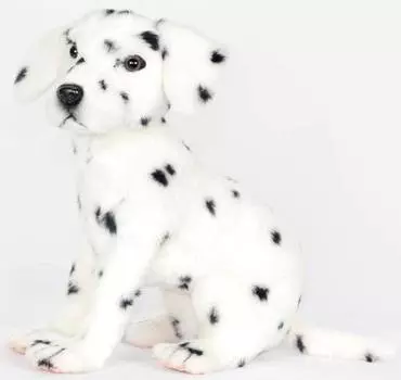 Hansa Мягкая игрушка "Далматинец", сидящий, 30 см